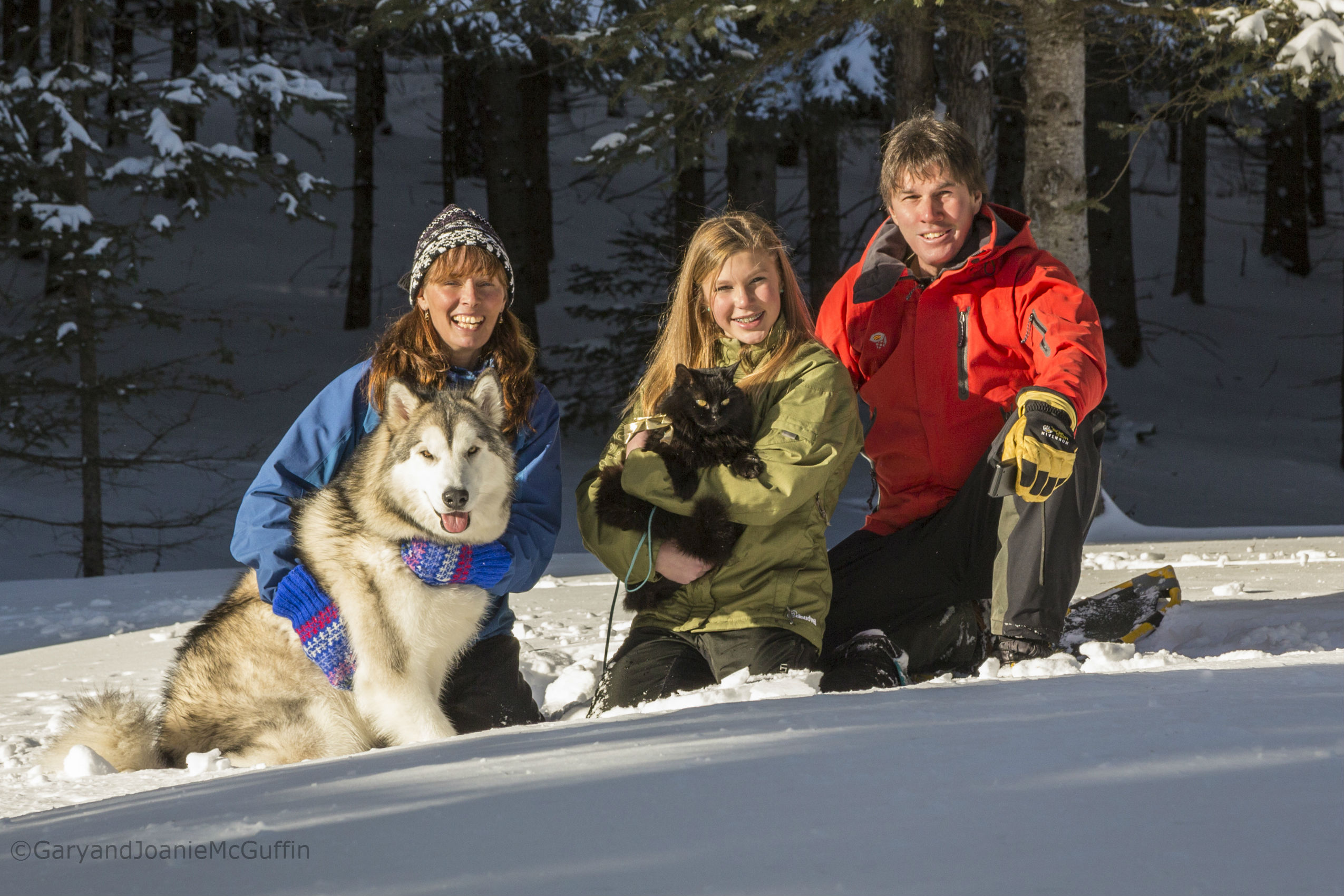 Winter family photo of two parents, daughter, a cat and a dog sitting in snow