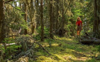 Exploring the Boreal Forest: A Journey with Joanie and Gary McGuffin at the Smithsonian Traveling Exhibition